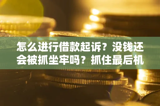 济南怎么进行借款起诉？没钱还会被抓坐牢吗？抓住最后机会！