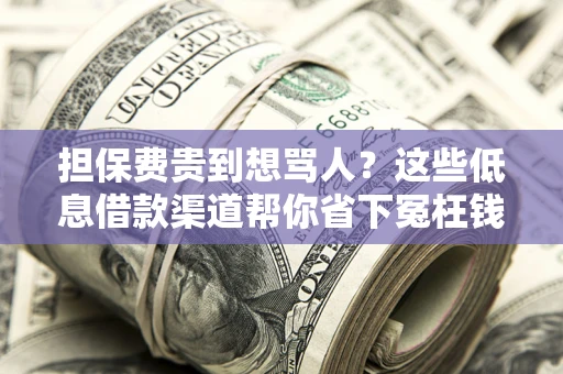 济南担保费贵到想骂人？这些低息借款渠道帮你省下冤枉钱