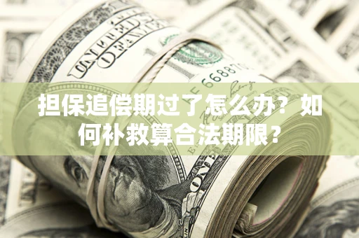 济南担保追偿期过了怎么办？如何补救算合法期限？