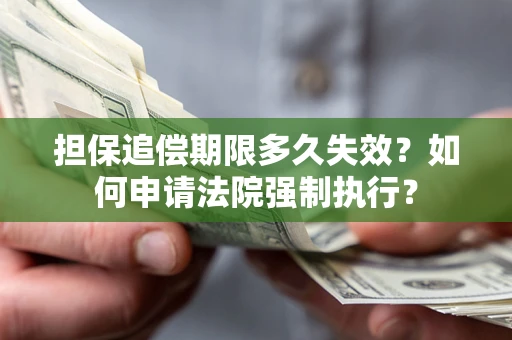 济南担保追偿期限多久失效？如何申请法院强制执行？