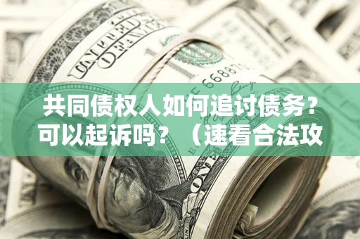 济南共同债权人如何追讨债务？可以起诉吗？（速看合法攻略）